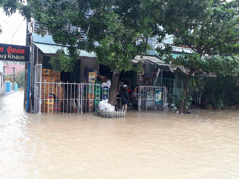 Bien-lu-nhan-chim-QL1-Da-Nang-giao-thong-te-liet-9