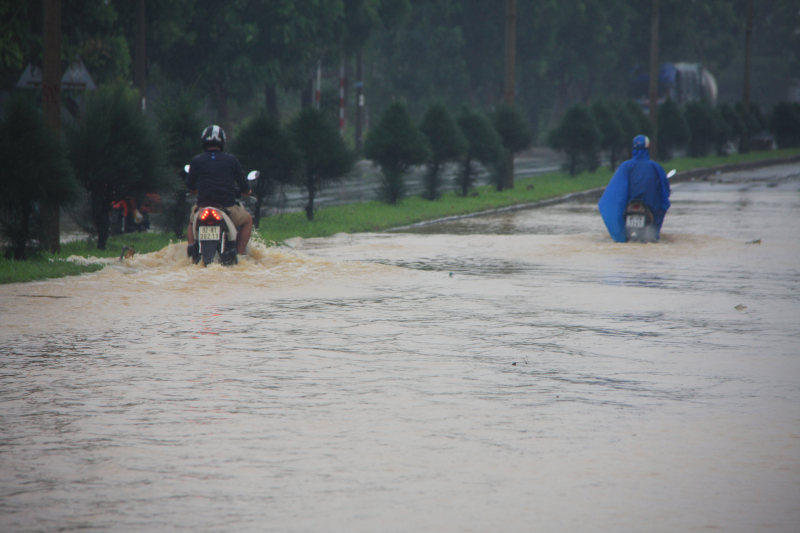 Bien-lu-nhan-chim-QL1-Da-Nang-giao-thong-te-liet-1