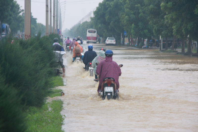 Bien-lu-nhan-chim-QL1-Da-Nang-giao-thong-te-liet-1