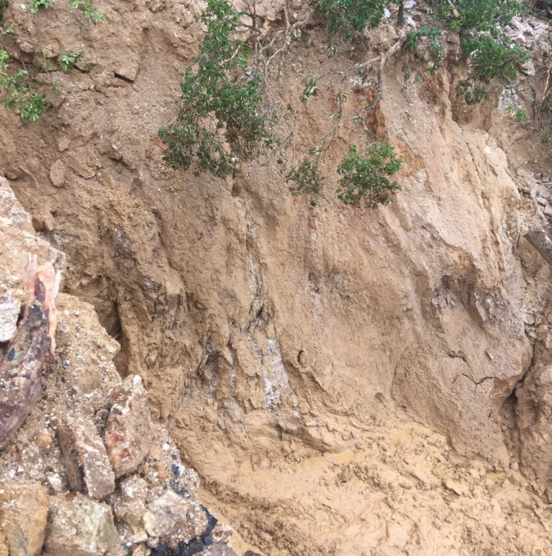 No-luc-thong-tuyen-diem-nong-duong-Ho-Chi-Minh-5