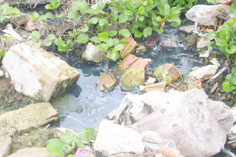 Nuoc-thai-den-boc-mui-thoi-do-ra-bai-bien-Nam-O-3