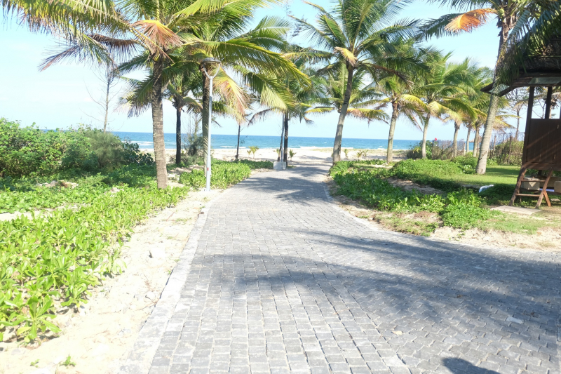 Bi-thu-Da-Nang-thi-sat-loi-xuong-bien-2