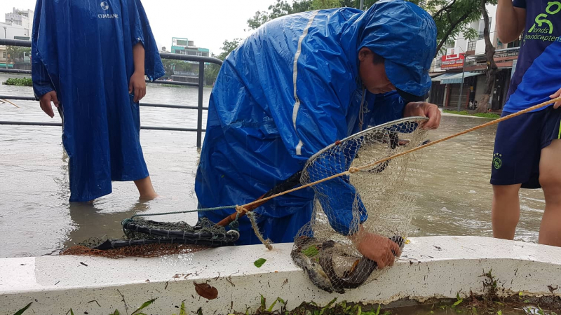 Dan-boi-thuy-danh-ca-giua-pho-Da-Nang-2