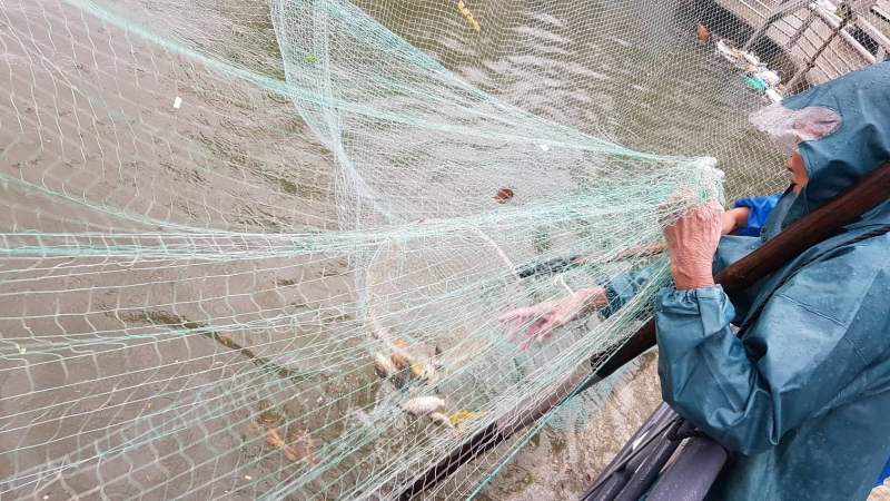 Dan-boi-thuy-danh-ca-giua-pho-Da-Nang-1