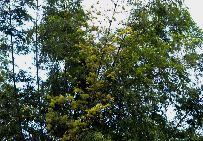 DSC_0404