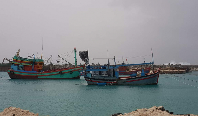 T&aacute;u c&aacute; v&agrave;o tr&uacute; tại đảo Trường Sa