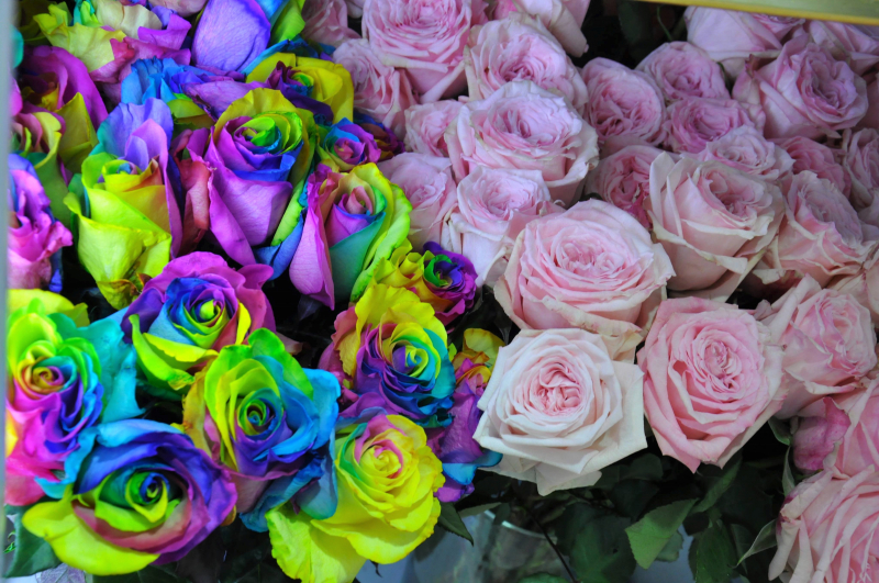 28810617_10216090879651732_504516539_o