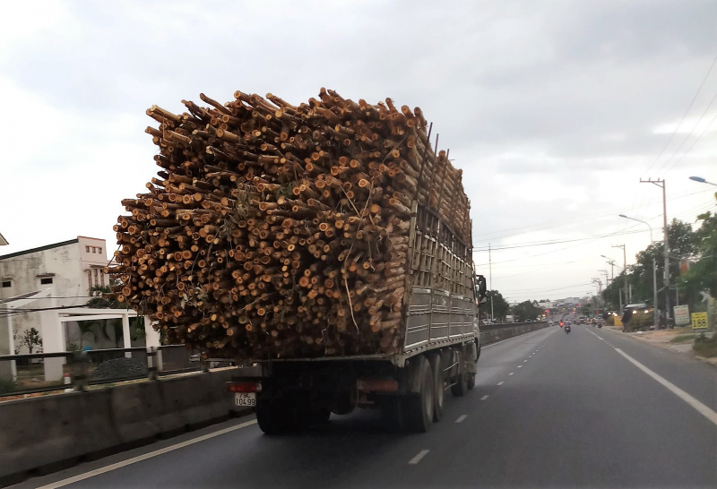 37909104_799519563771247_6669765803287511040_n