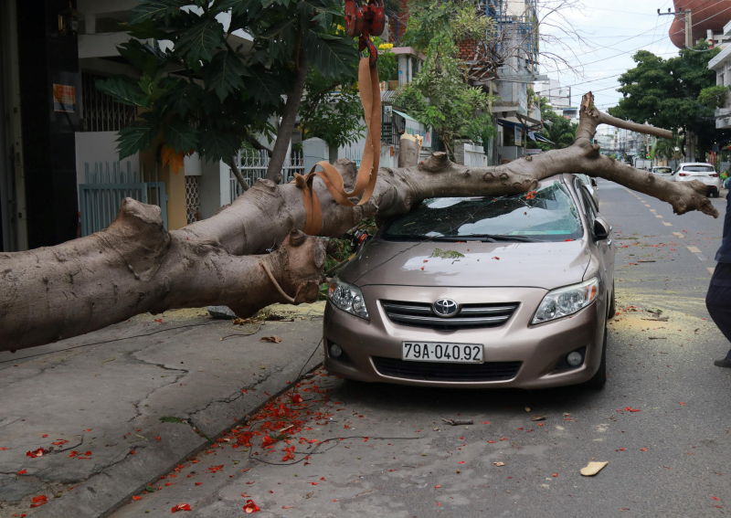 39145605_2136228073300186_601175123701006336_n