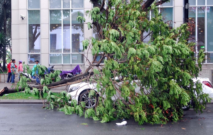 17668889_995991783869261_1794587985_o