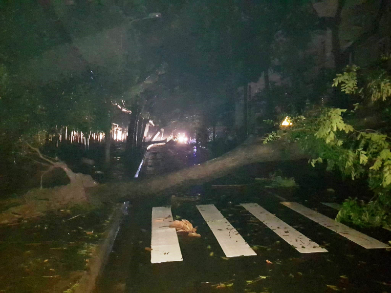 23730954_1915692408758822_1204374336_o