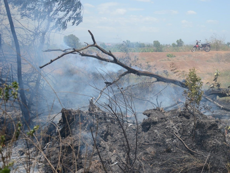 30261089_1752019684857727_4164178317701808128_o