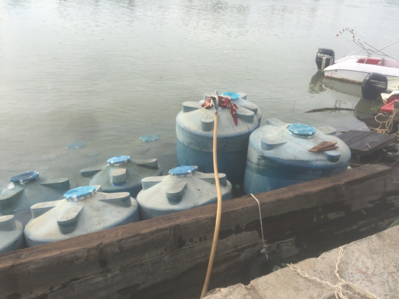 c42db1dfb66e56300f7f