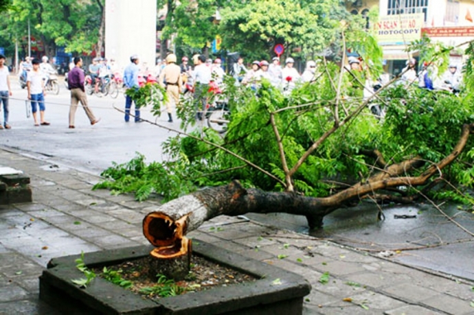 hien-truong-vu-viec-1