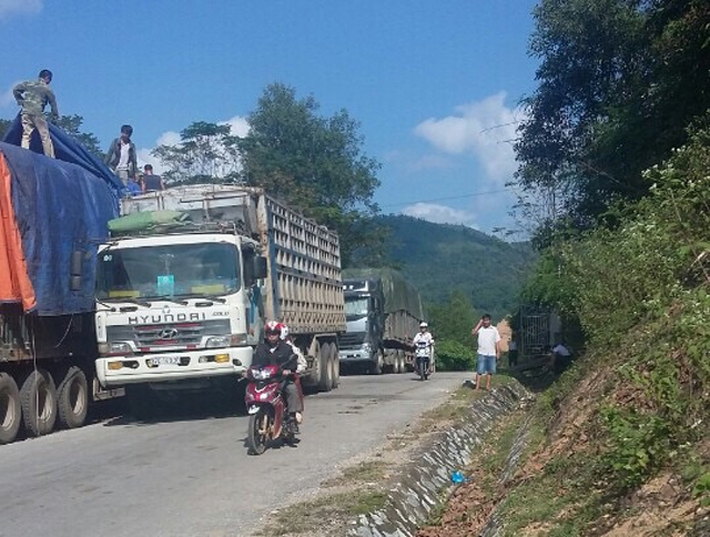 Nghệ An Buộc hạ tải h&agrave;ng chục xe chở n&ocirc;ng sản qu&aacute; 