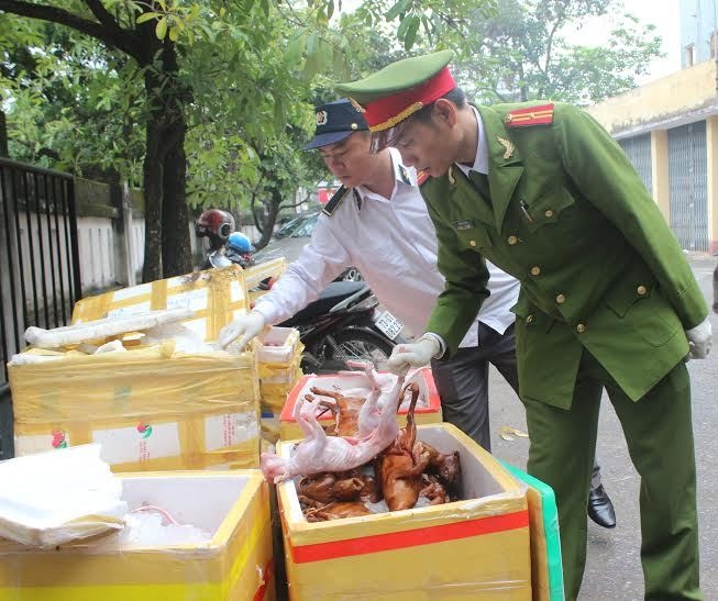 Quảng B&igrave;nh Bắt giữ xe chở động vật kh&ocirc;ng r&otilde; nguồn 