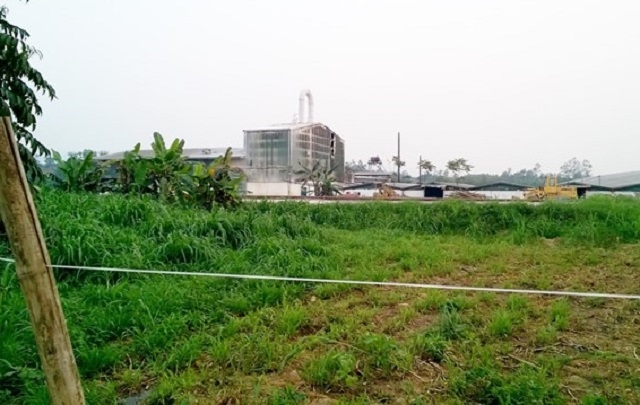 Nổ ở nh&agrave; m&aacute;y chế biến tinh bột sắn, 5 người bị thư
