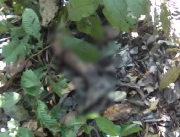 13228021-959617010821922-634309698-n-1463628200476