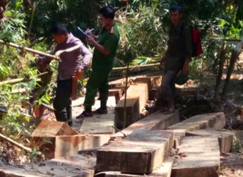 ngheanbatgiu3doituongpharung