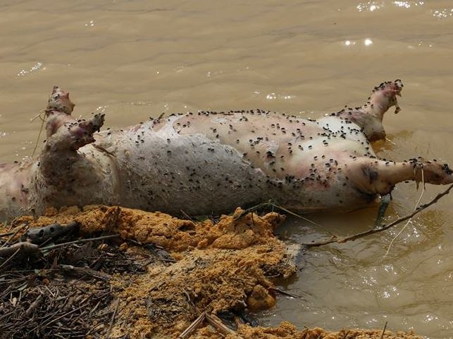 14800696_1424013780959625_1961922675_n