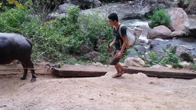 15301326_1479308285430174_1124188405_n