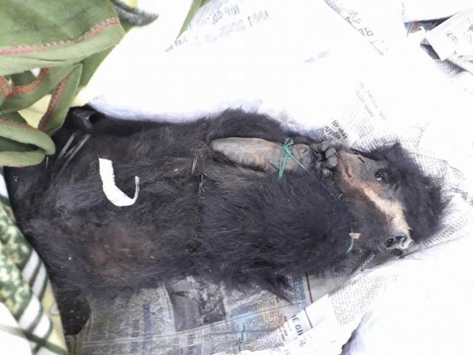 15750120_1473119989372329_1707903475_n