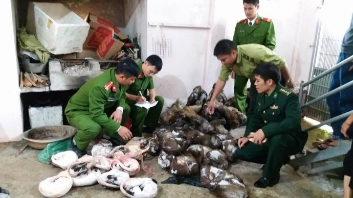 15894846_1141573845959686_8354950786211090286_n