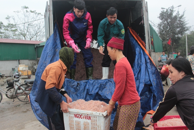 nặng-trĩu-những-khay-t&eacute;p-biển-đầu-năm-mới