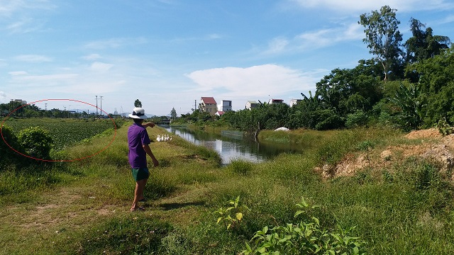 Hồ hoang chứa nước tưới ti&ecirc;u bị ph&ugrave; ph&eacute;p th&agrave;nh hồ 