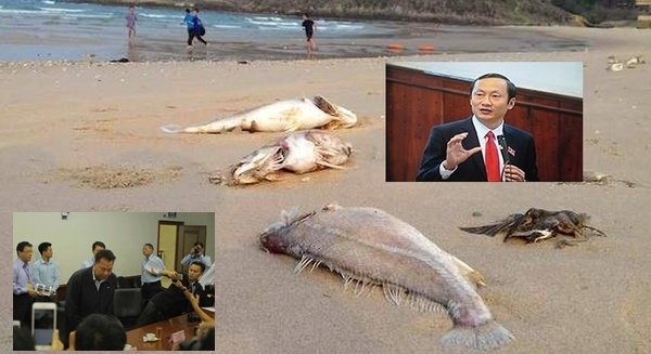 ca-hoang-ly14-1461170740963-46-0-382-660_2mf4att2m