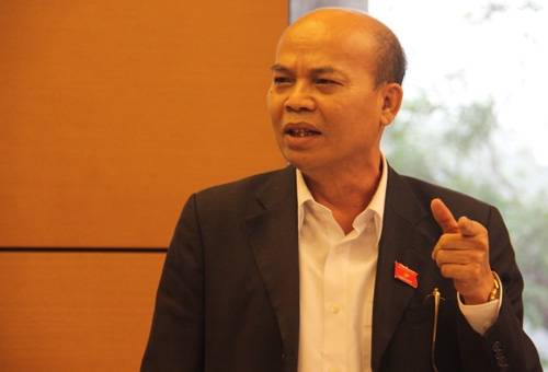 dai-bieu-duong-8896-1458718795