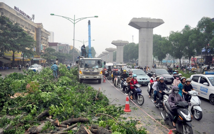 20150325113841-duong-nguyen-trai