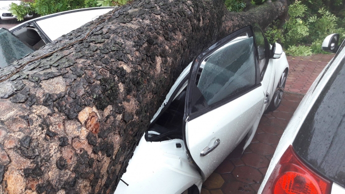 14087191_1273533895991381_6772740_o