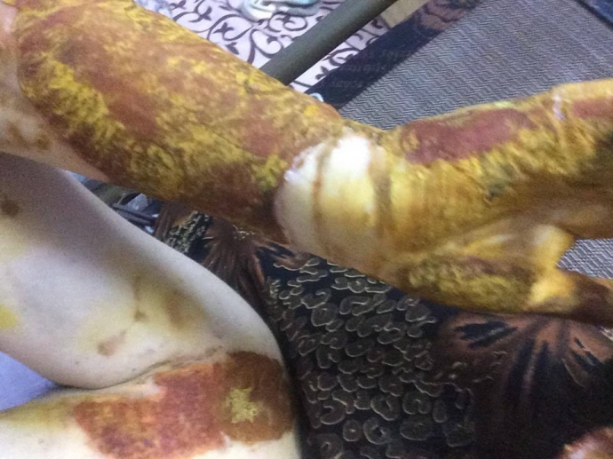 no-hoa-chat-truong-phan-dinh-phung