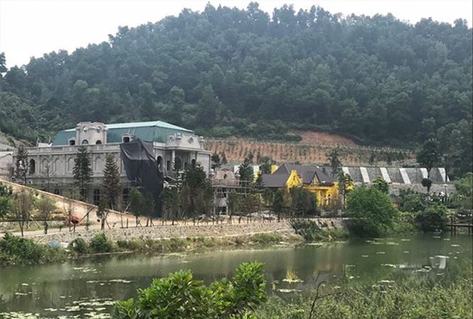 thanh-tra-dat-rung-soc-son