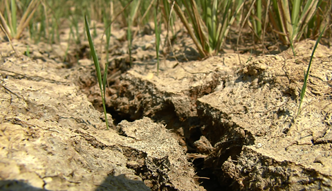 BIDV-danh-23-ty-dong-h0-tro-han-han-ngap-man