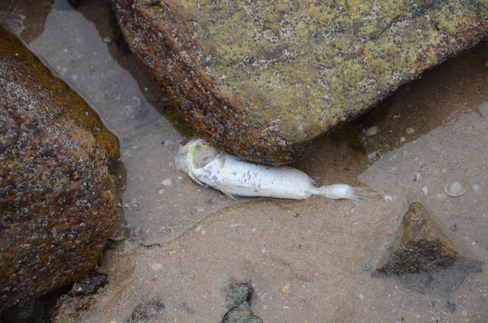 Lap-duong-day-nong-ve-moi-truong-va-tai-nguyen