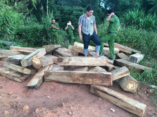 tam-dinh-chi-chi-cuc-truong-chi-cuc-hai-quan-cua-k