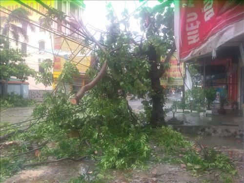 Ha-Noi-99-lo-duong-day-trung-ap-bi-su-co-do-bao-so