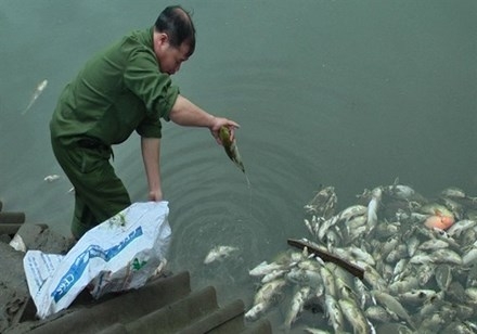 ca-chet-trang-do-vo-dung-ong-nuoc-thai-nha-may-tai