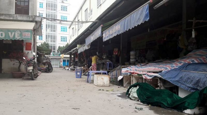 mung-2-tet-gia-rau-bat-ngo-re-nhu-ngay-thuong-1