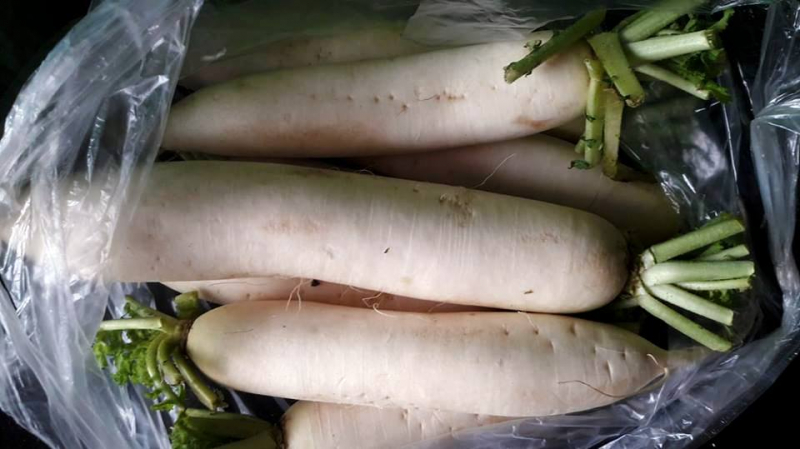 Cu-cai-e-vi-tam-ly-so-hang-trung-quoc-4