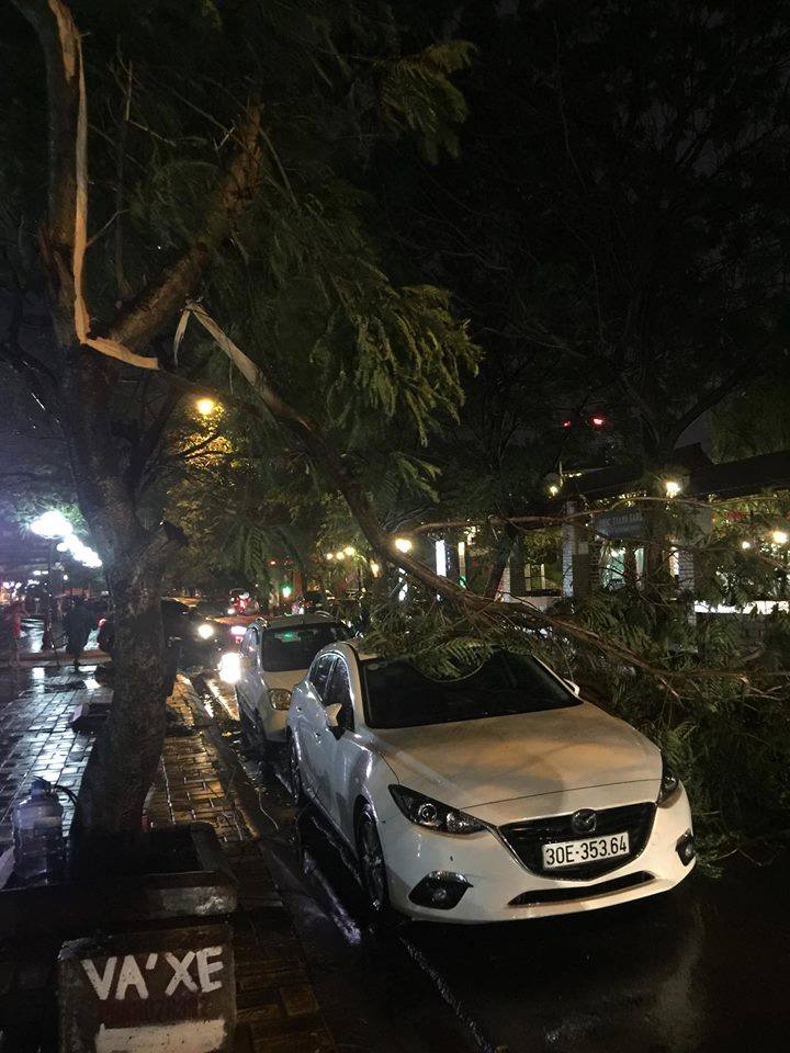 Ha-noitan-hoang-sau-conmua-giong-chop-giat-dau-mua