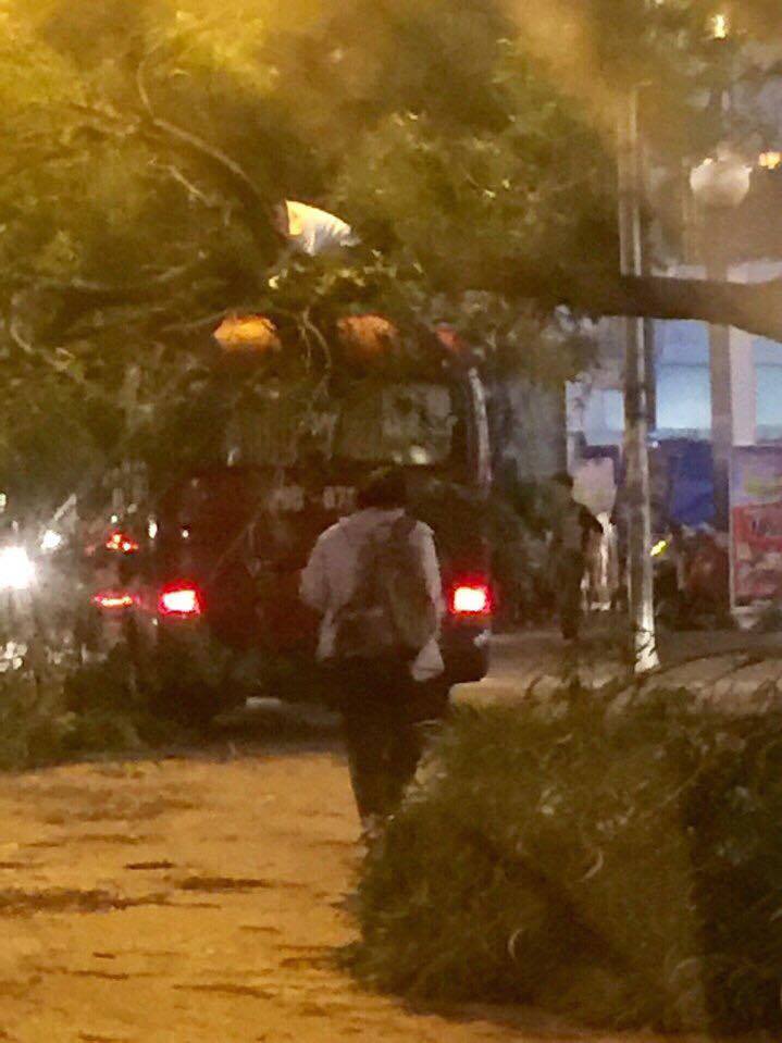 Ha-noi-tan-hoang-sau-conmua-giong-chop-giat-dau-mu