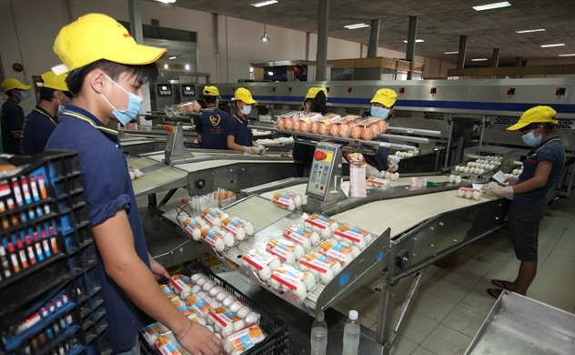 vinacapitla-dung-dau-tu-ba-huan-ai-thiet-hai