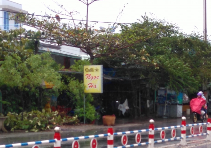 bat-qua-tang-quan-ca-phe-to-chuc-mua-ban-dam