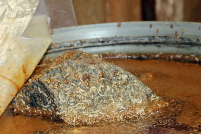 doi-bo-nhung-nhuc-trong-cac-u-chua-mam