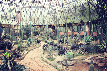 nhaxuongrong-phunutodayvn