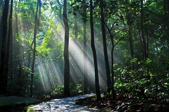 vuonquocgia-phunutodayvn