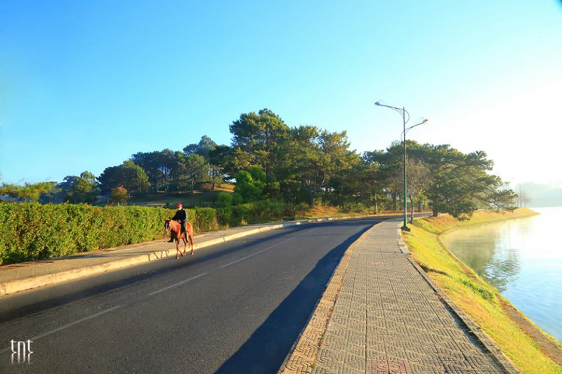 Đ&agrave; Lạt Trong T&ocirc;i (445)